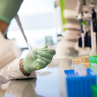 Pipetting in the Spark Therapeutics laboratory